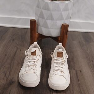 Steve Madden Cream Men's Shoes